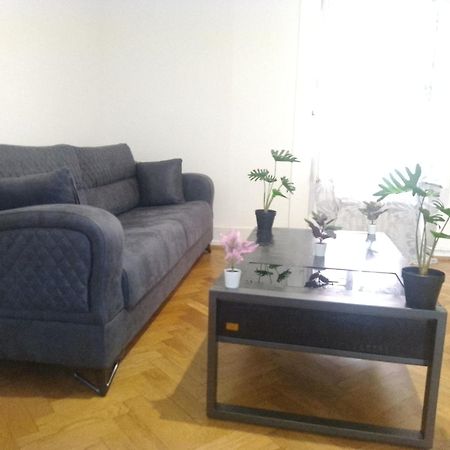 Charming Flat Center And Near The Lake Geneve Exteriör bild