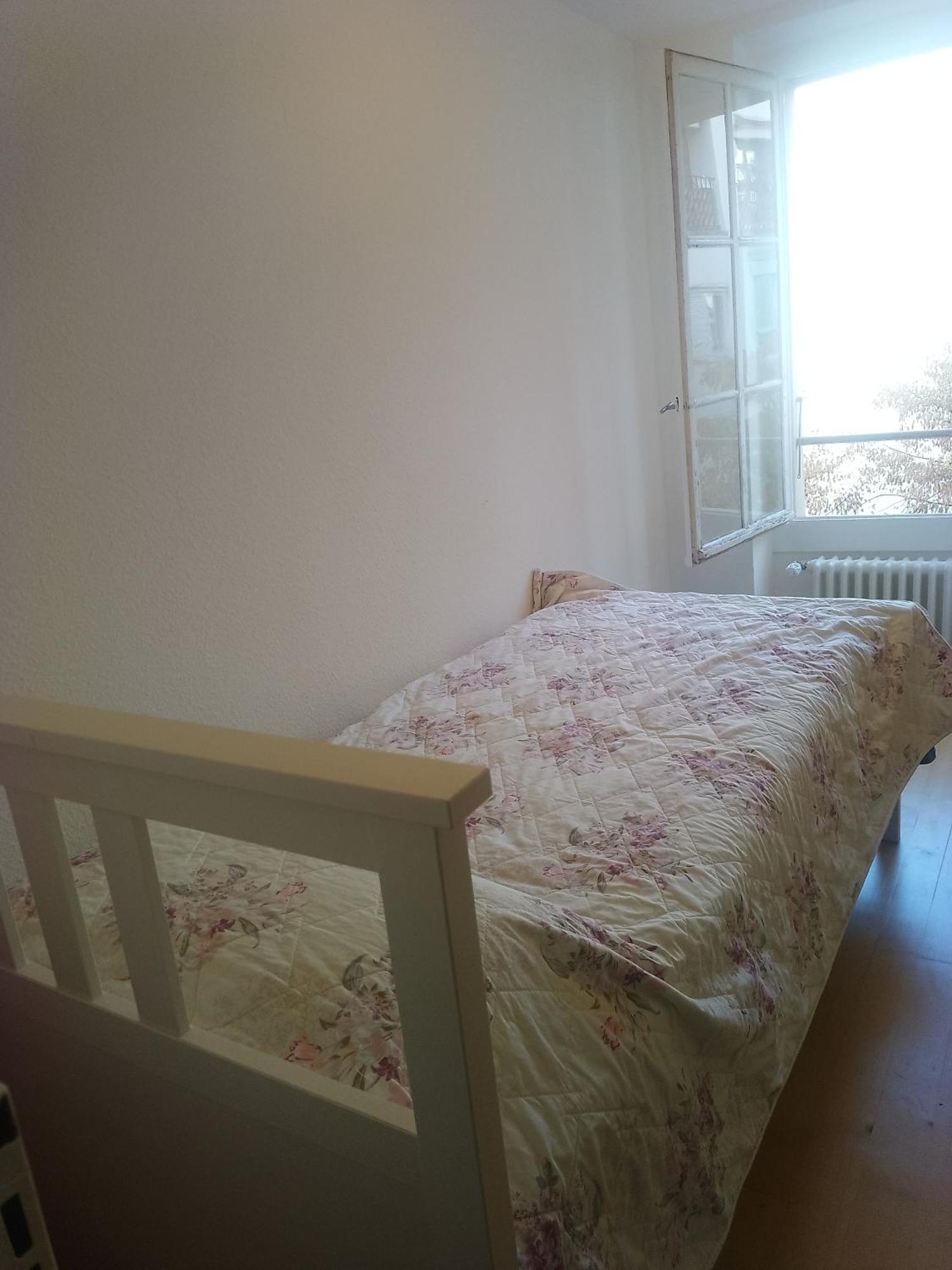 Charming Flat Center And Near The Lake Geneve Exteriör bild