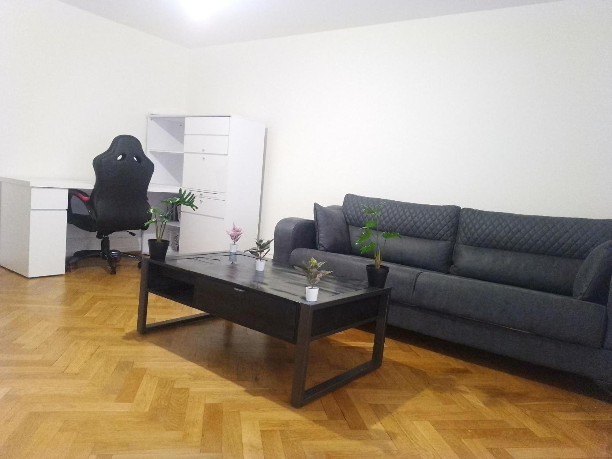 Charming Flat Center And Near The Lake Geneve Exteriör bild