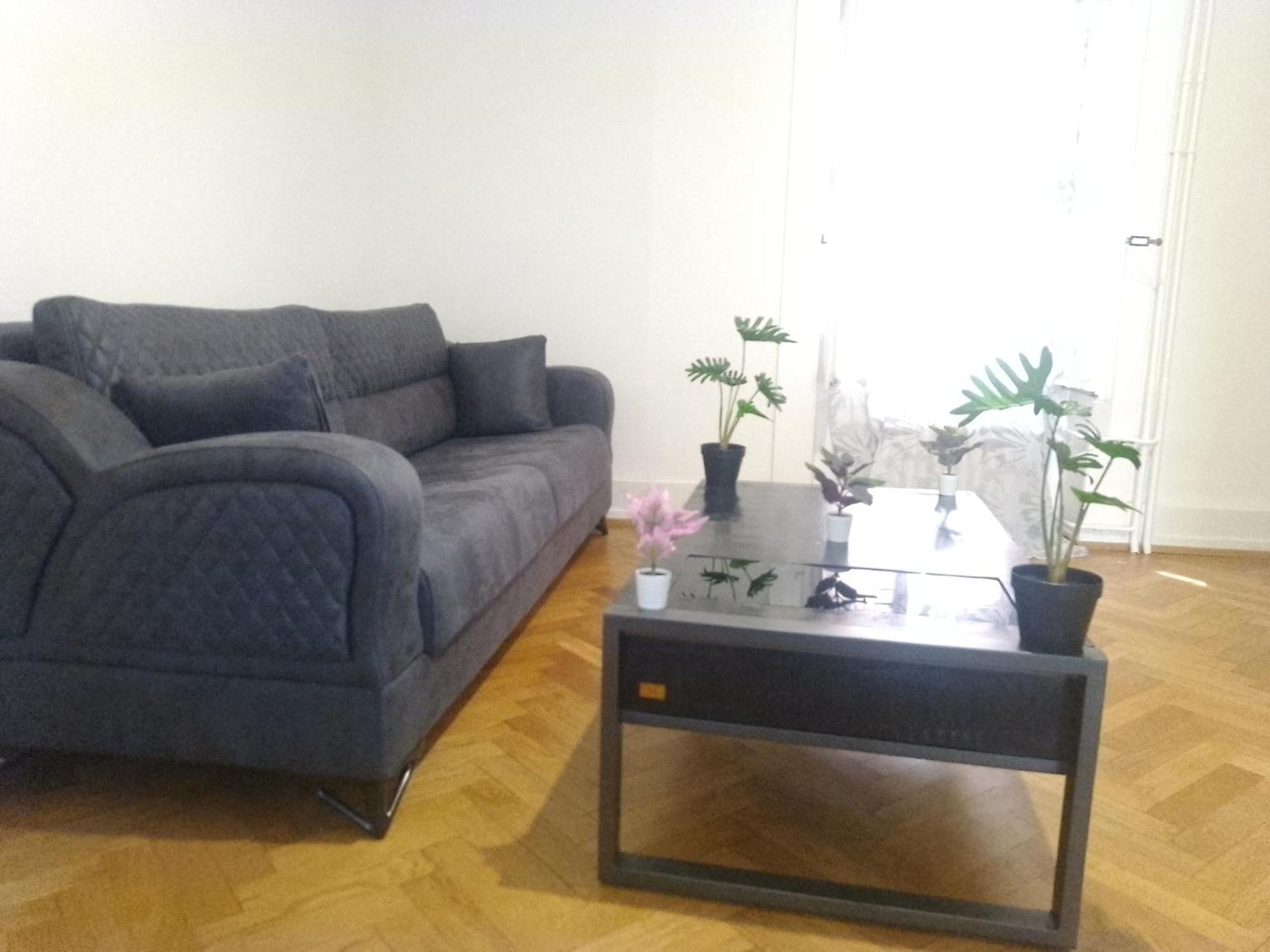 Charming Flat Center And Near The Lake Geneve Exteriör bild