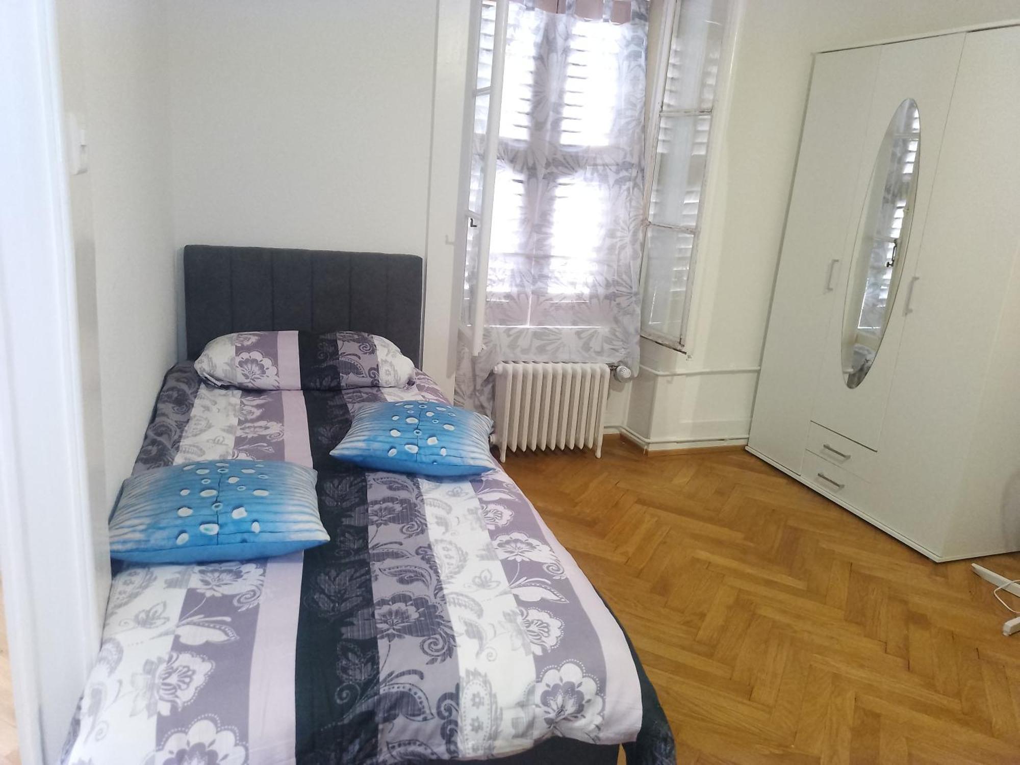 Charming Flat Center And Near The Lake Geneve Exteriör bild