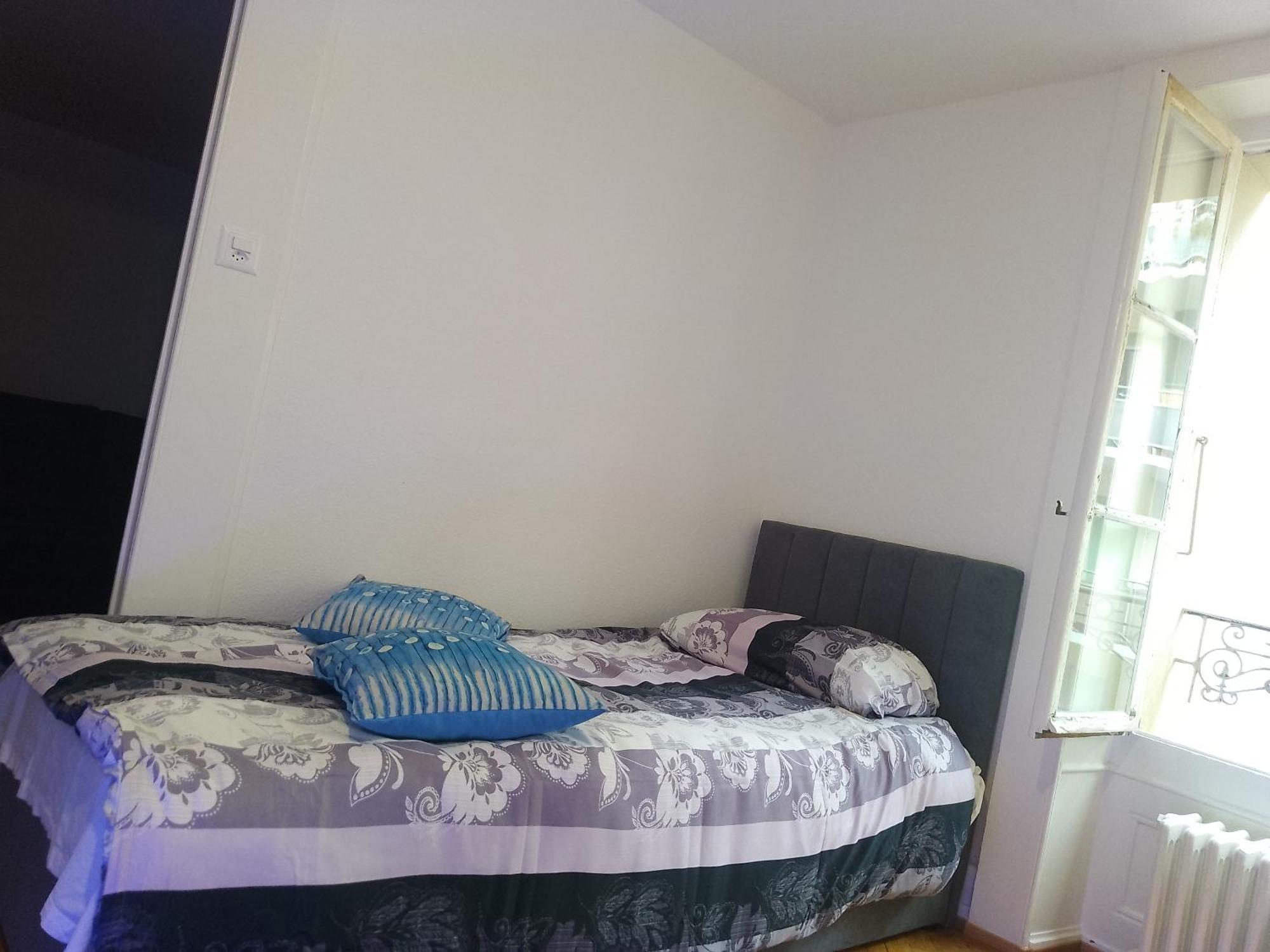 Charming Flat Center And Near The Lake Geneve Exteriör bild