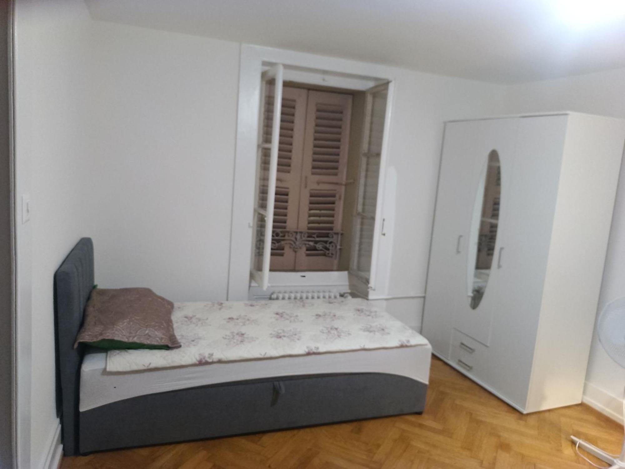Charming Flat Center And Near The Lake Geneve Rum bild